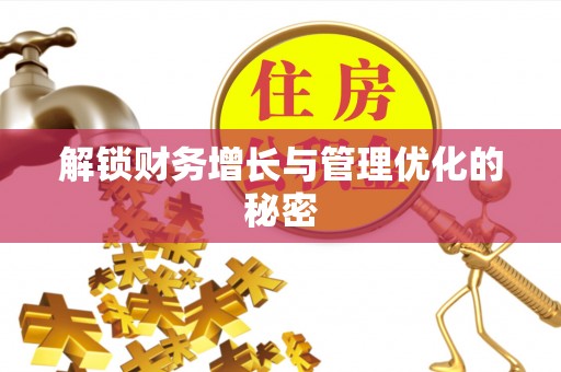武陵解锁财务增长与管理优化的秘密