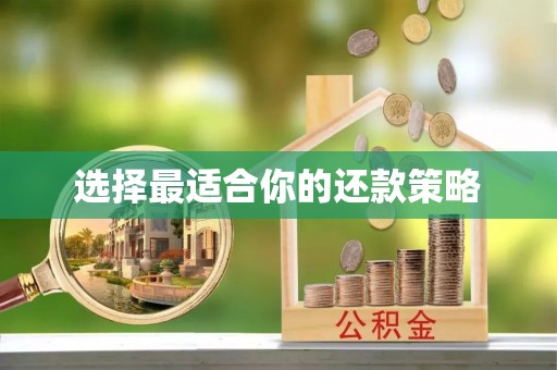 武陵选择最适合你的还款策略