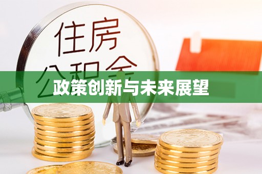 武陵政策创新与未来展望