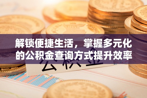 武陵解锁便捷生活，掌握多元化的公积金查询方式提升效率