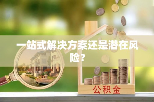 武陵一站式解决方案还是潜在风险？