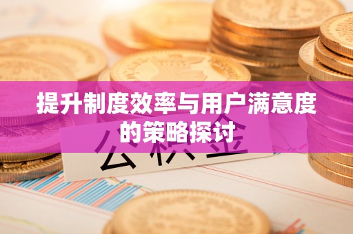 武陵提升制度效率与用户满意度的策略探讨