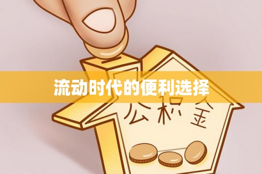 武陵流动时代的便利选择